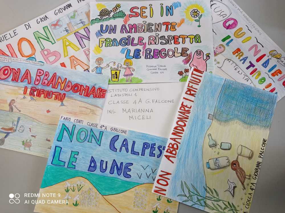 IMGambiente ladispoli 1
