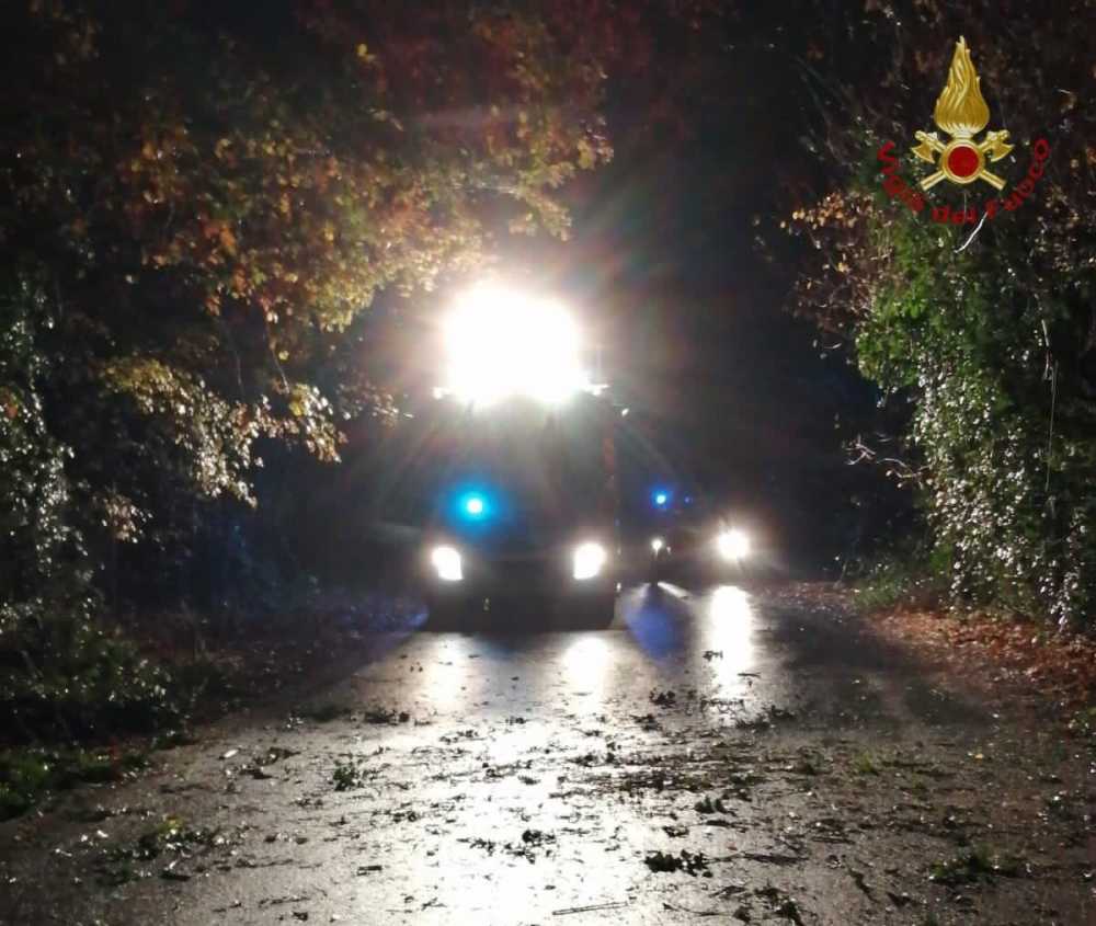 alberi caduti bracciano vvf vigili fuoco pompieri