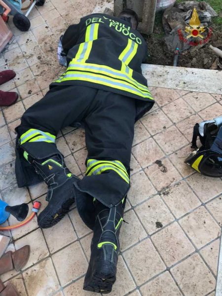 cagnetto jack russell salvato pompieri vvf vigili fuoco cerveteri