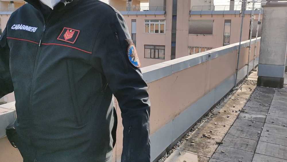 carabinieri spalle (2) carabinieri spalle