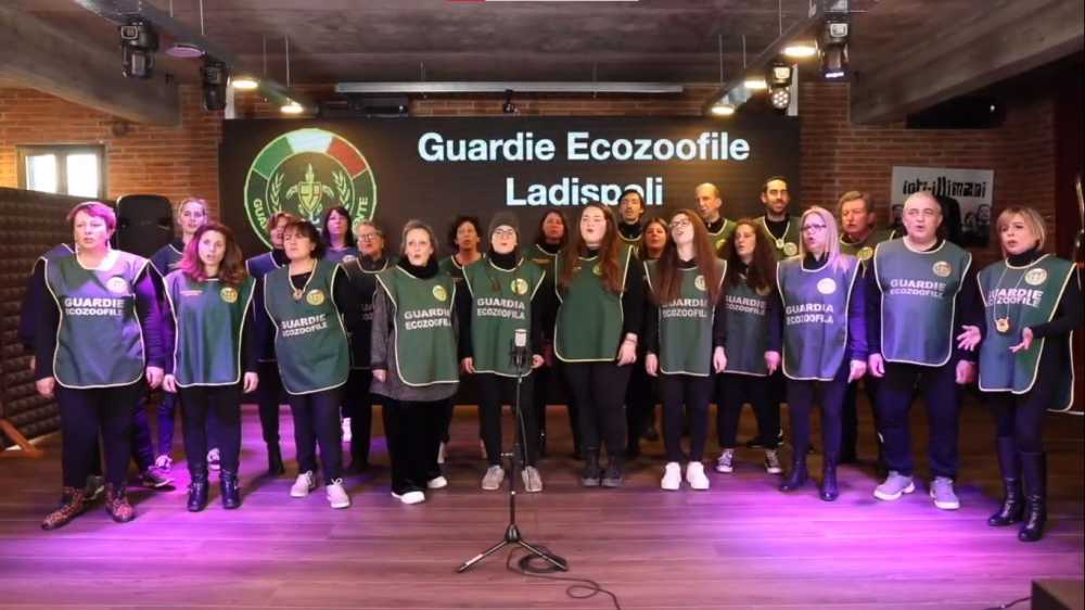 ecozoofile ladispoli auguri natale ecozoofile ladispoli auguri natale