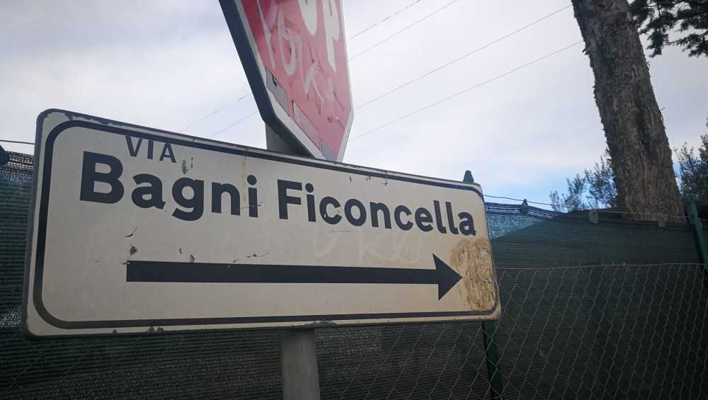 ficoncella