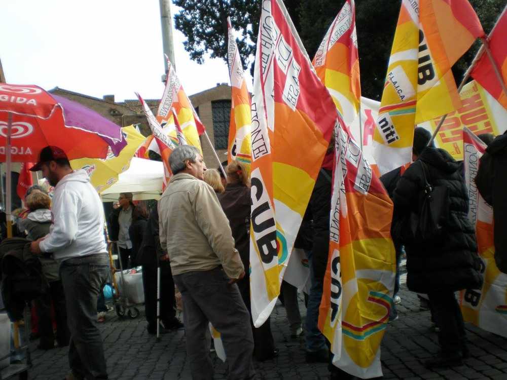 flaica lazio cub flaica lazio cub