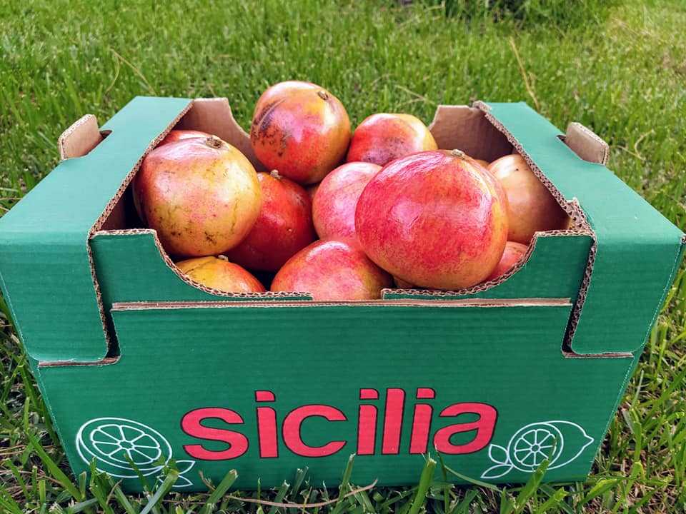 melegane sicilia italia