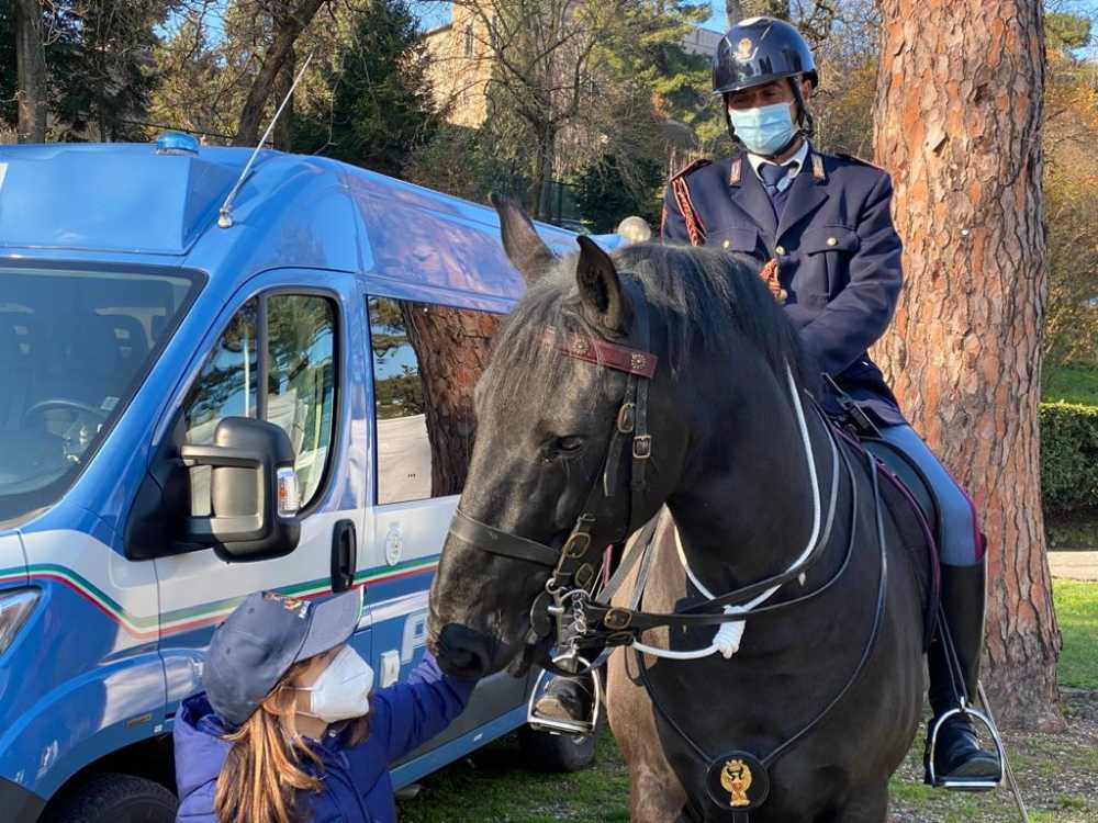 polizia cavallo