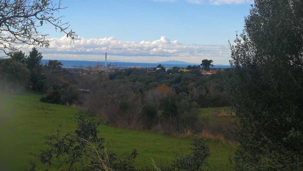 usi civici civitavecchia usi civici civitavecchia