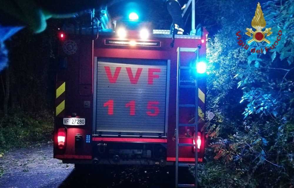 vigili fuoco albero bracciano pompieri vvf vigili fuoco albero bracciano pompieri vvf