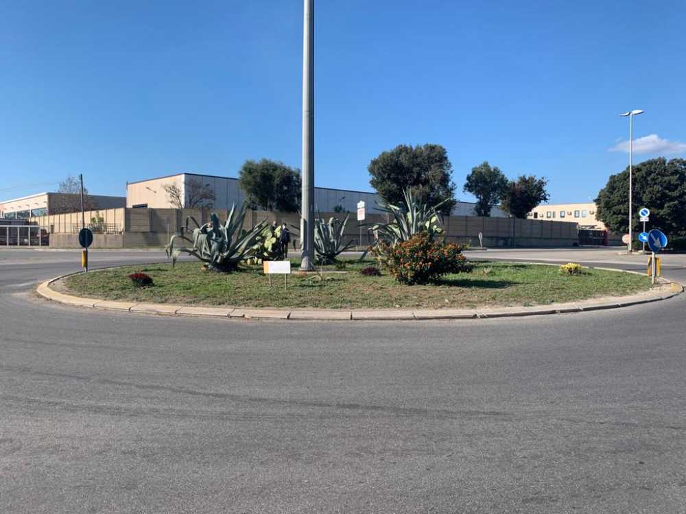 zona industriale civitavecchia