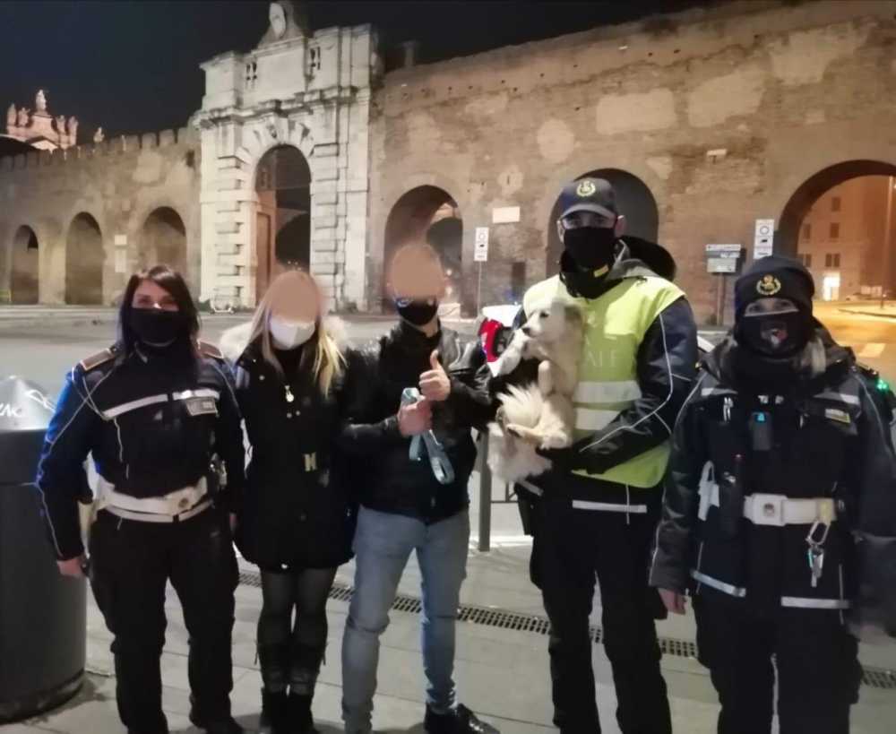 cagnolina smarrita appio cagnolina smarrita appio