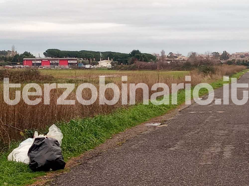 discarica Via del bagolaro tra Ladispoli e Cerenova discarica discarica Via del bagolaro tra Ladispoli e Cerenova discarica