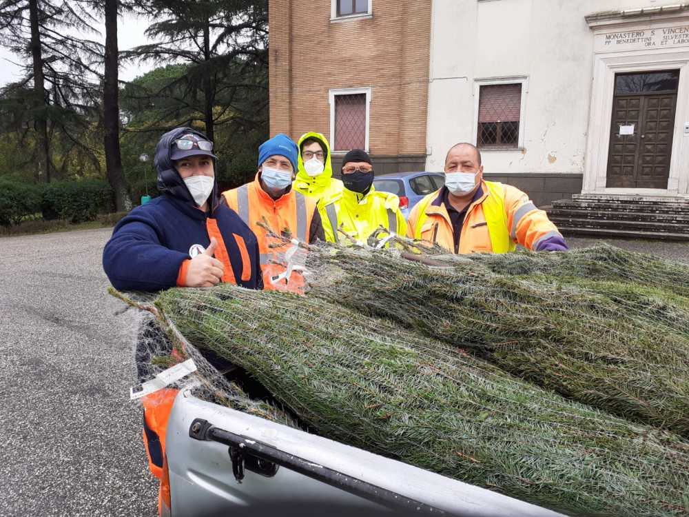 avab bracciano alberi monastero bassano 1 al monastero di san Vincenzo a Bassano