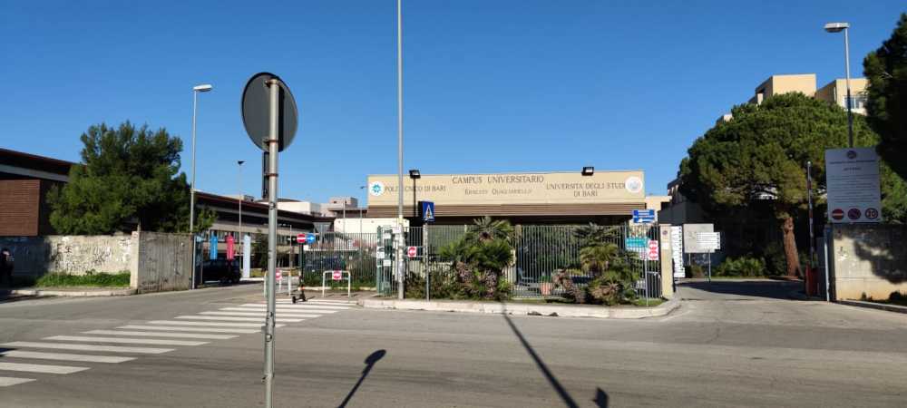 bari politecnico