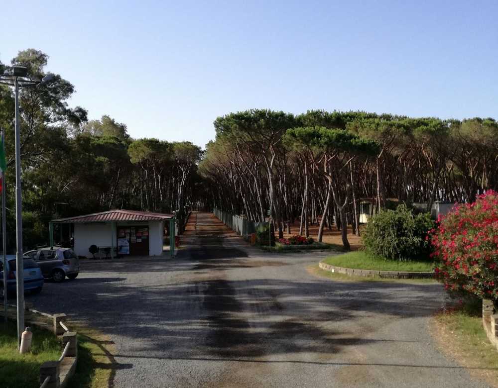 ingresso campeggio camping frasca ingresso campeggio camping frasca
