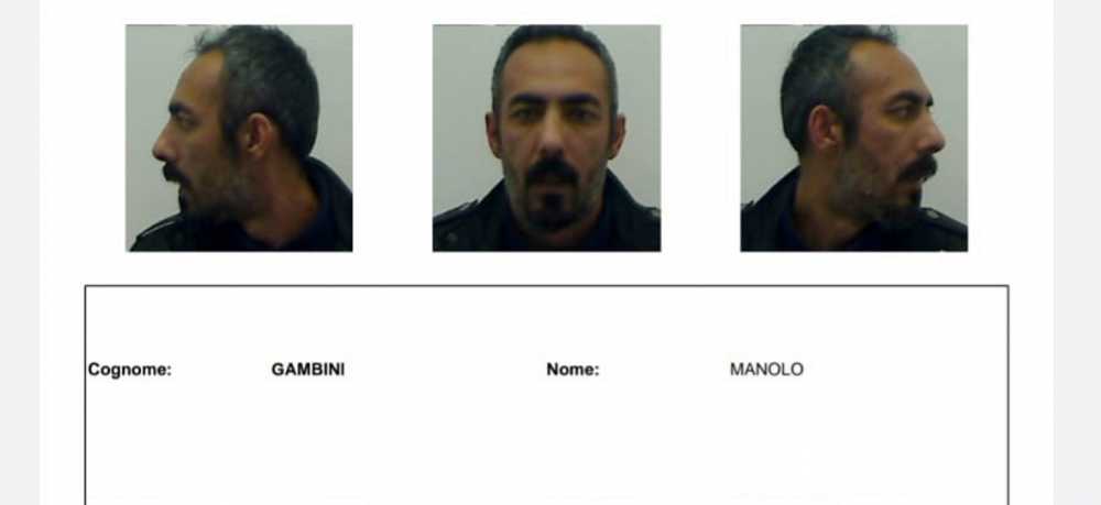 manolo gambini evaso