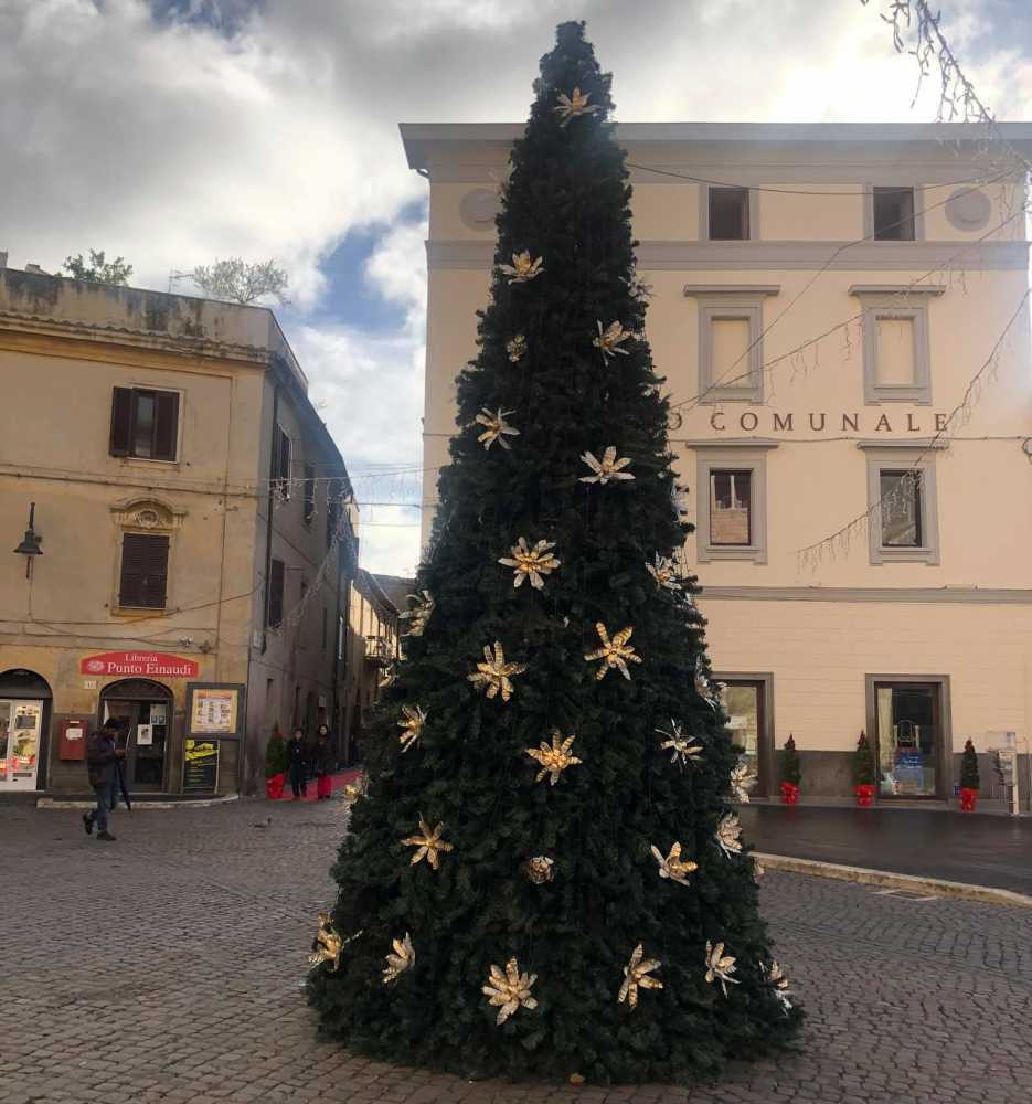 natale tarquinia