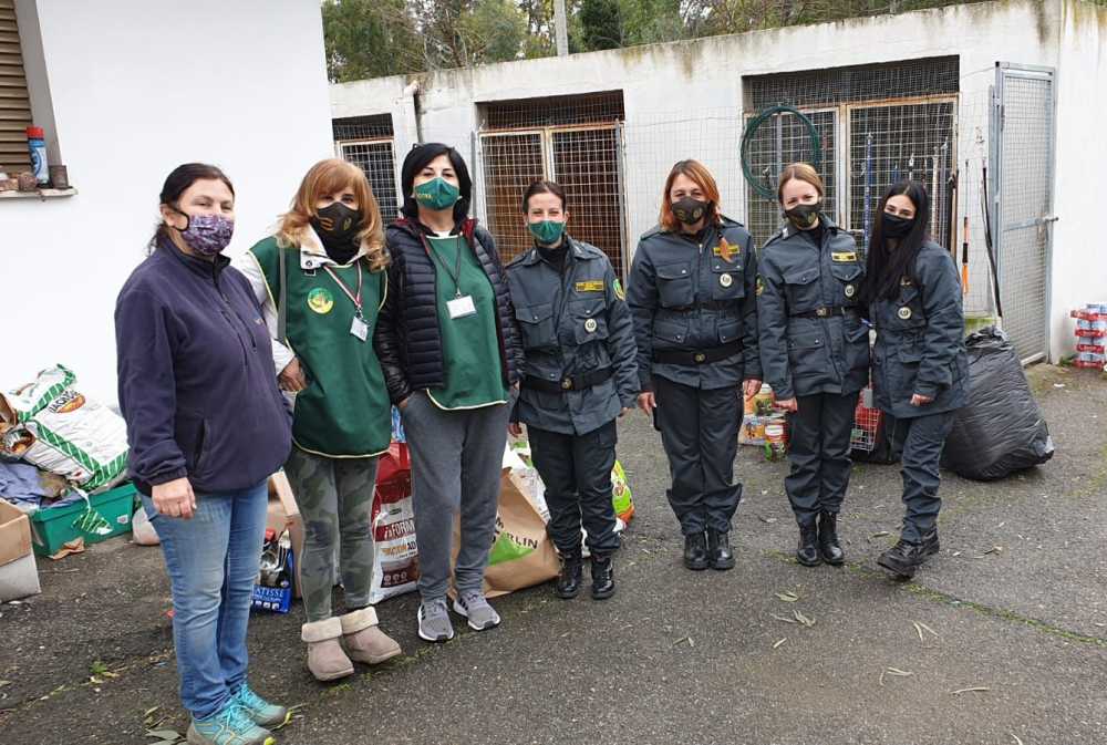 nogra civitavecchia nogra civitavecchia