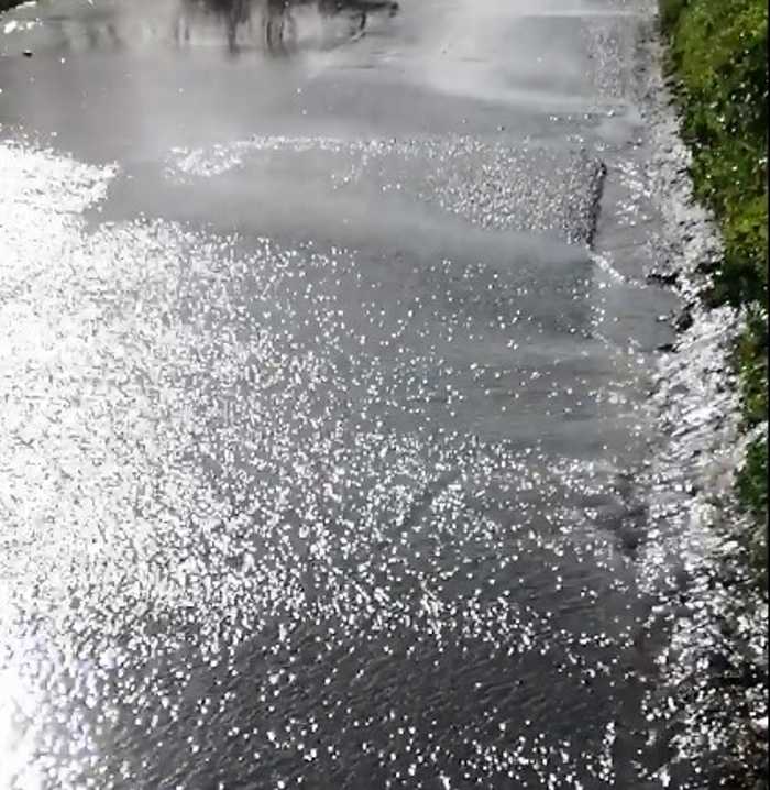 perdita via madonnina cerveteri