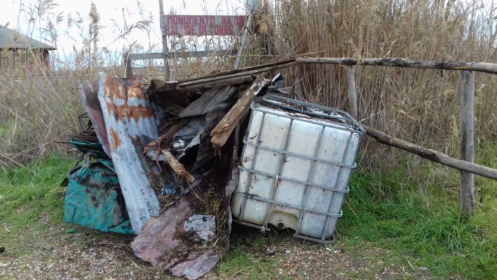 rifiuti torre flavia rifiuti torre flavia