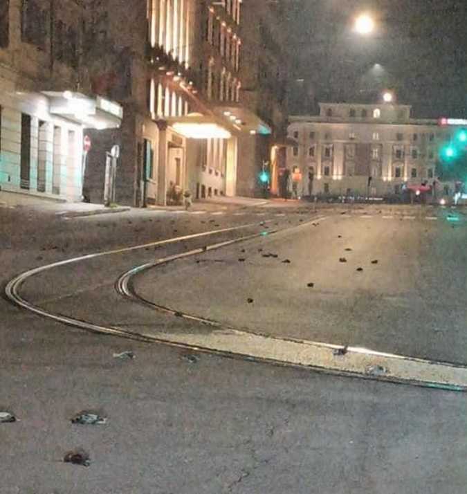 uccelli morti roma Foto Facebook Diego fenicchia