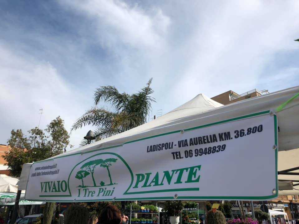 vivaio tre pini vivaio tre pini