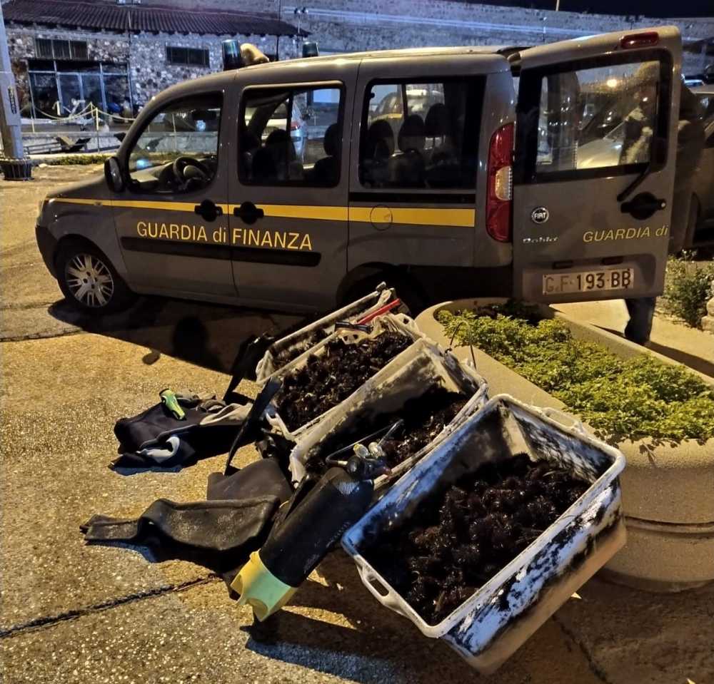 RICCI di MARE sequestro finanza gdf RICCI di MARE sequestro finanza gdf