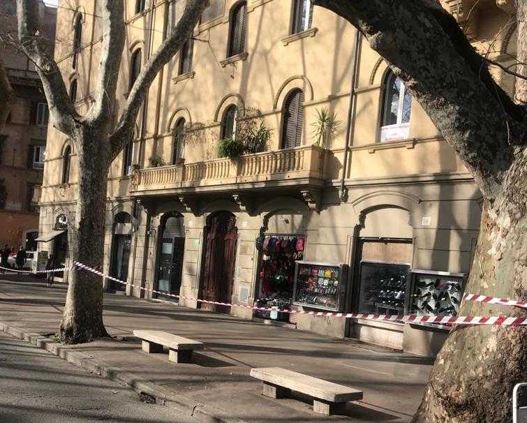 Roma, Lungotevere dei Vallati, prossimo taglio di alberi