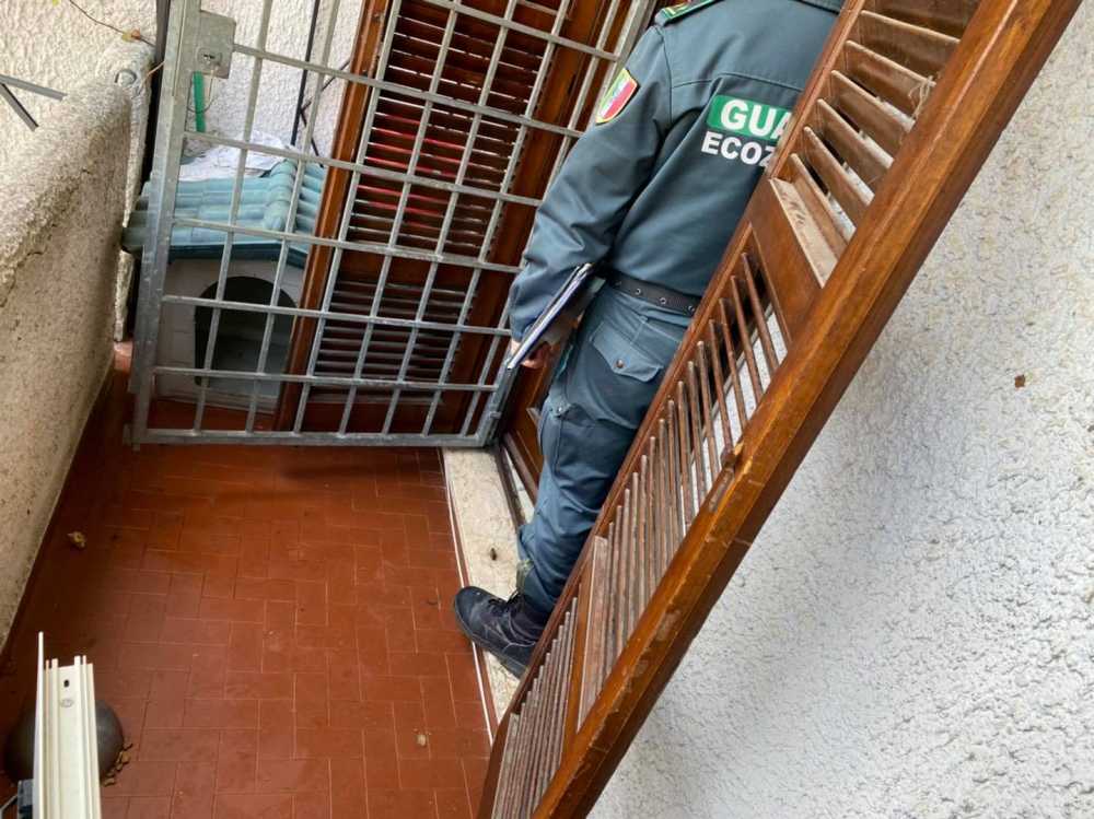 ecozoofile cerveteri