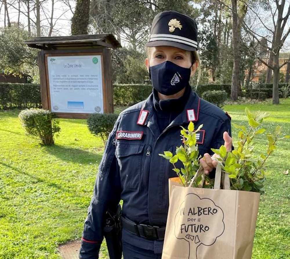 foto un albero per il futuro