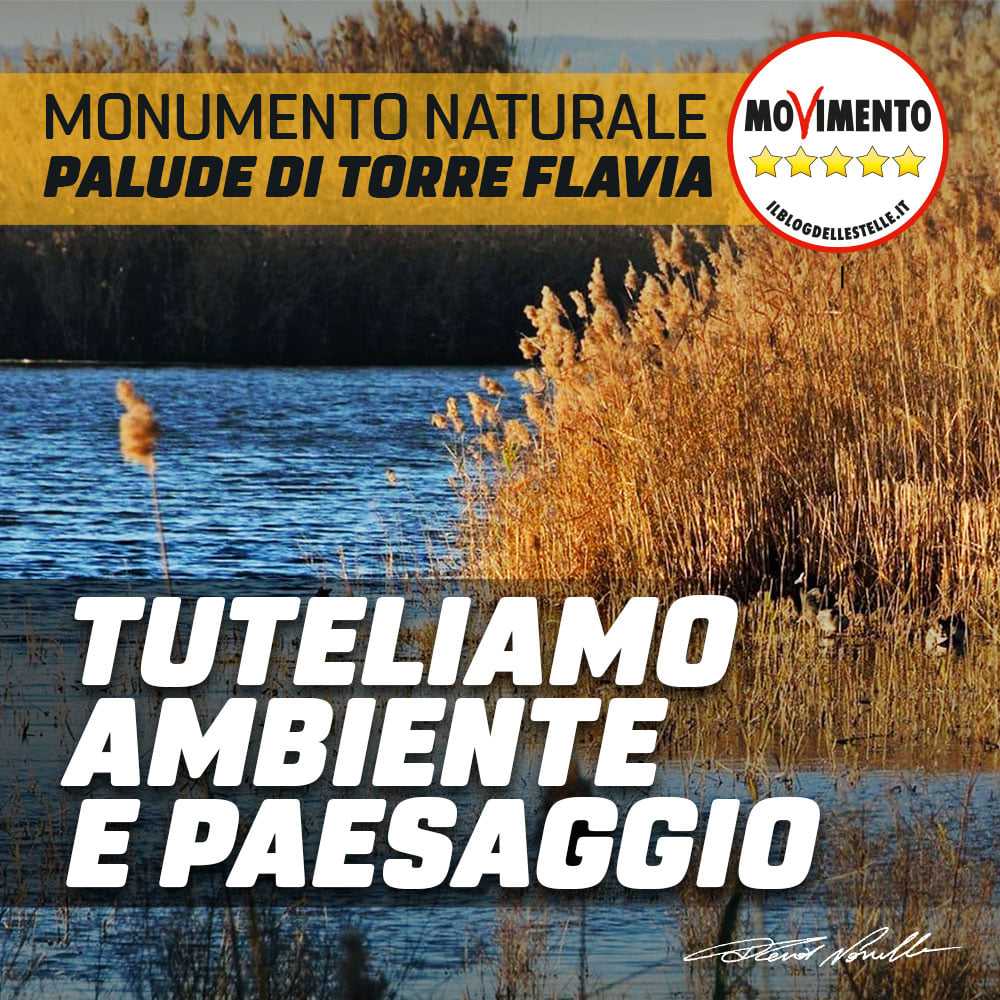 palude m5s ladispoli palude m5s ladispoli