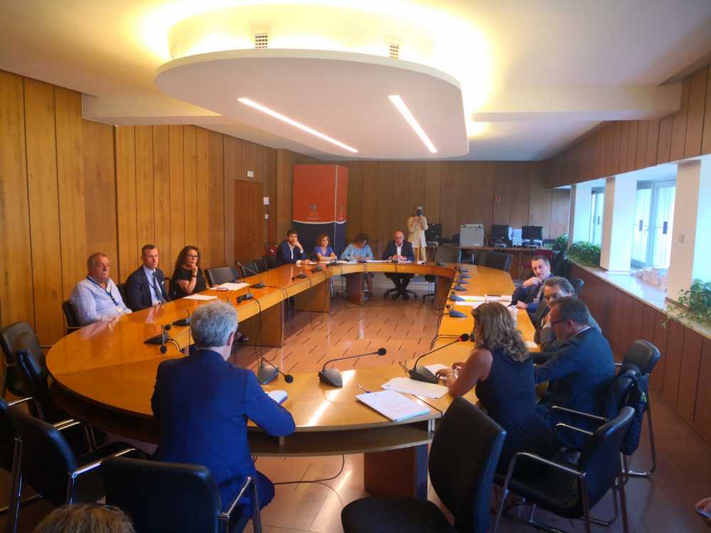 tavolo disabilità regione elena de paolis