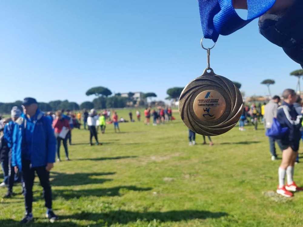 vivaio maccarese cross
