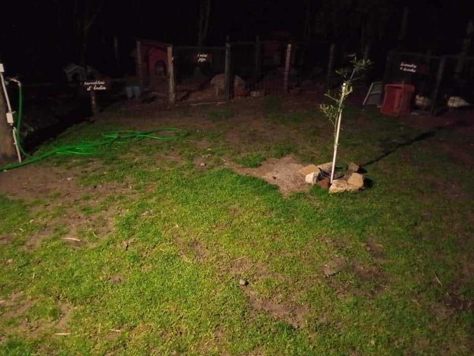 maccarese giardino dei nonni maccarese giardino dei nonni