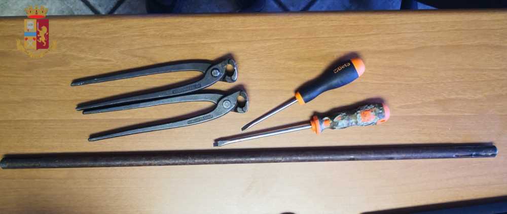 2 con logo 2 con logo