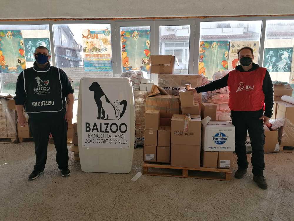 associazione balzoo