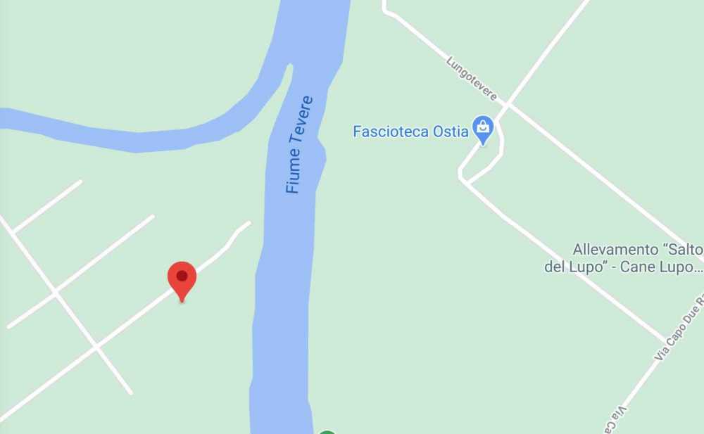 riserva naturale litorale romano riserva naturale litorale romano