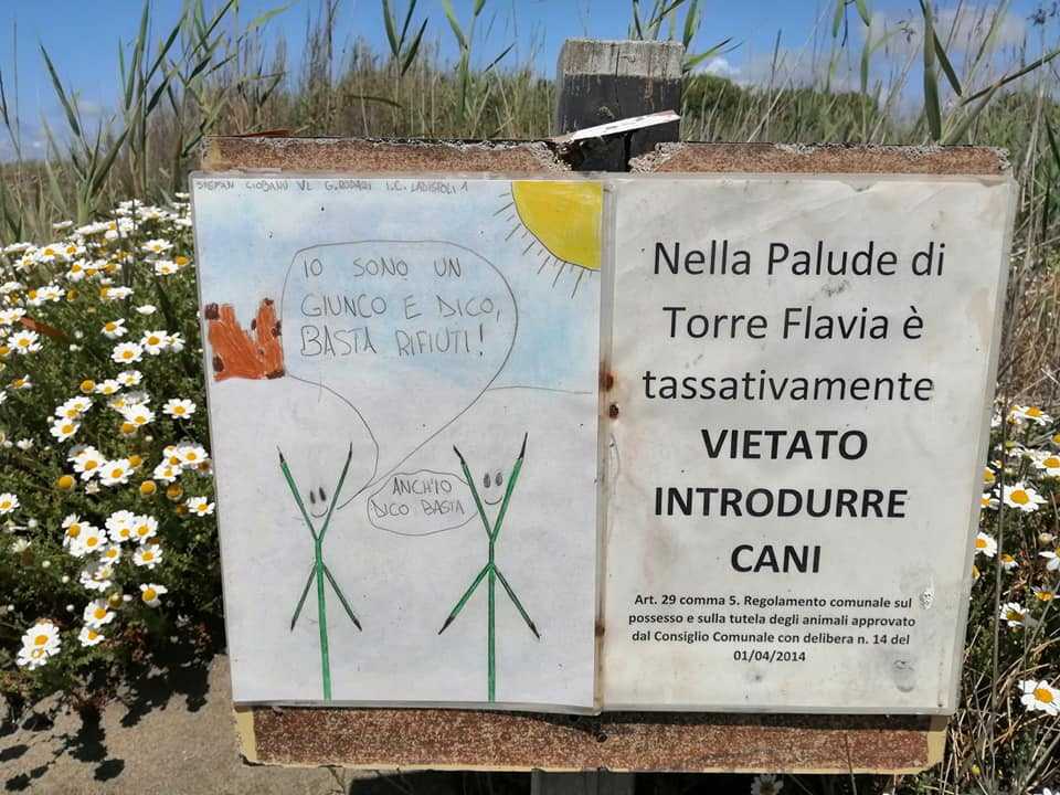 cani torre flavia cartello