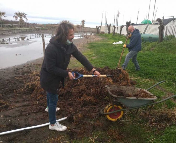 convegno torre flavia biodinamica