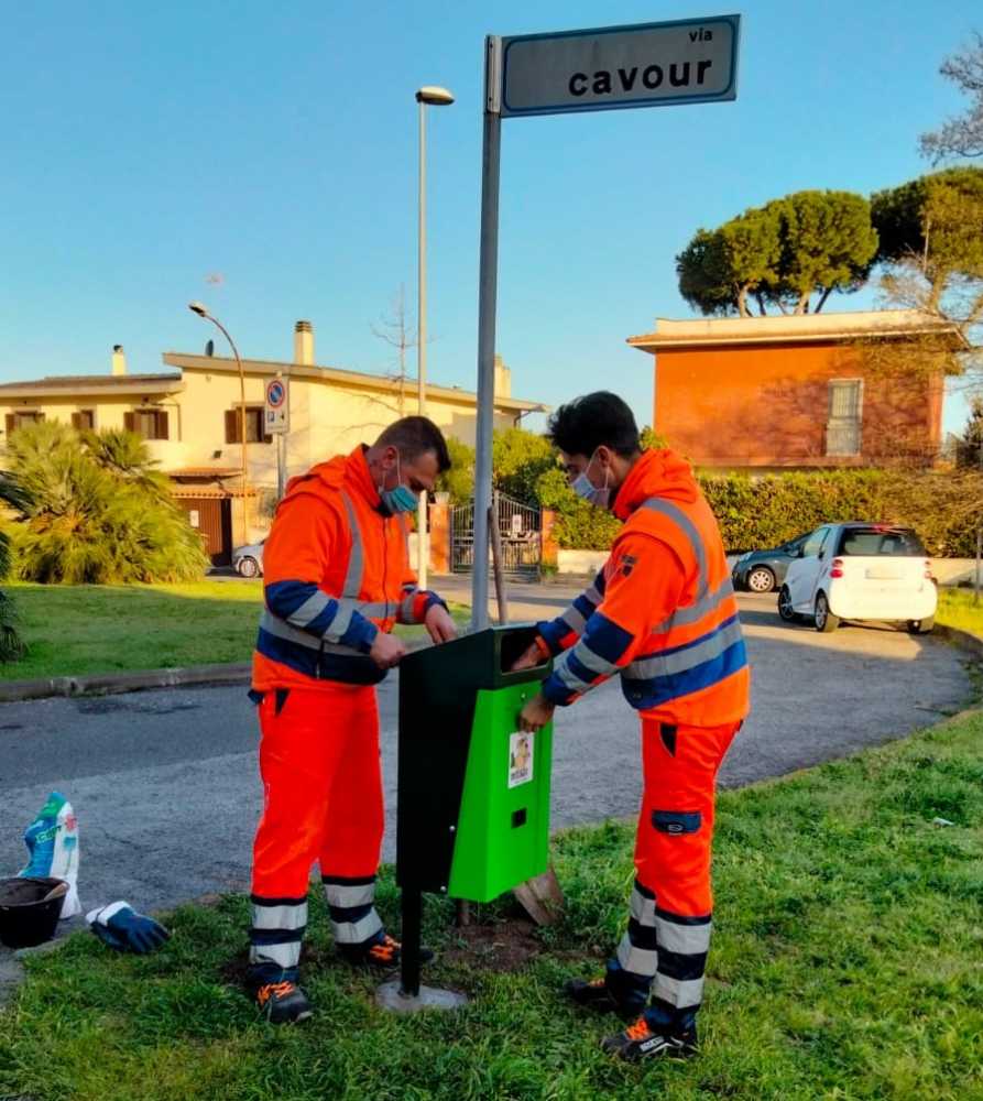 ecodog cestini cani ladispoli