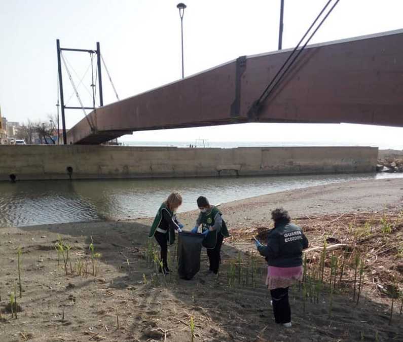 fareambiente ladispoli pulizia vaccina 1