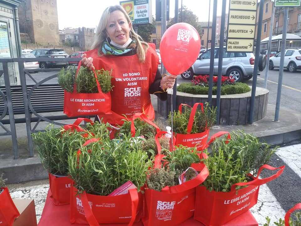 cerveteri foto consigliera prosperi_banchetto solidale aism cerveteri foto consigliera prosperi_banchetto solidale aism