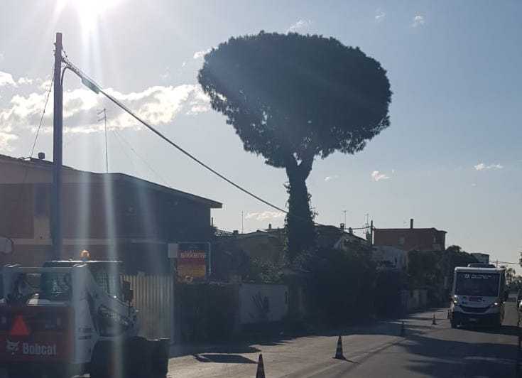 illuminazione maccarese1 illuminazione maccarese1