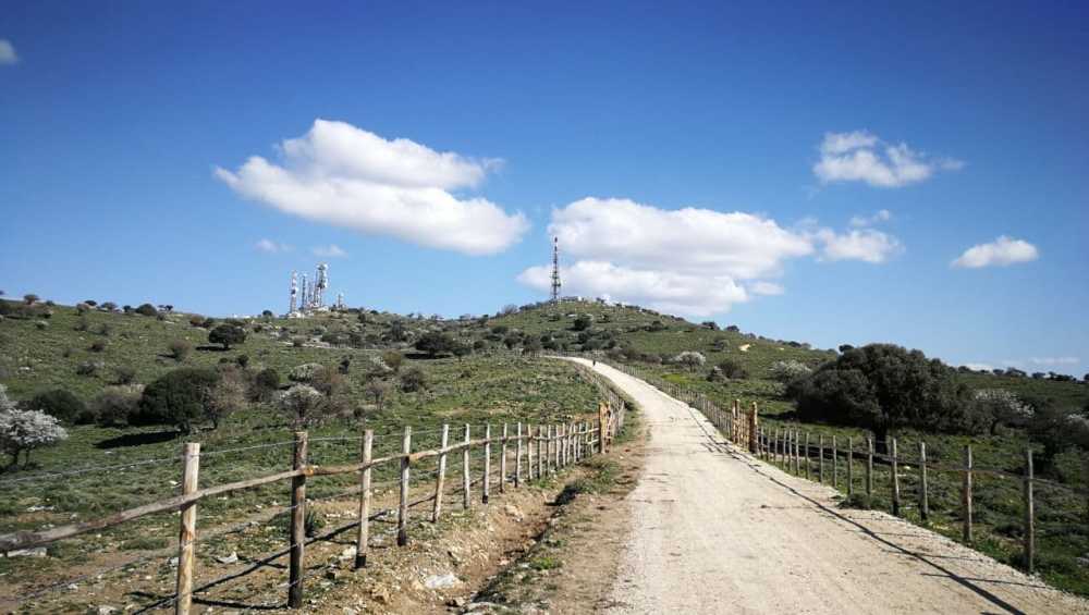 università agraria civitavecchia università agraria civitavecchia