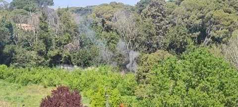 171158429_2991230814441781_4822767661237254190_n 171158429_2991230814441781_4822767661237254190_n