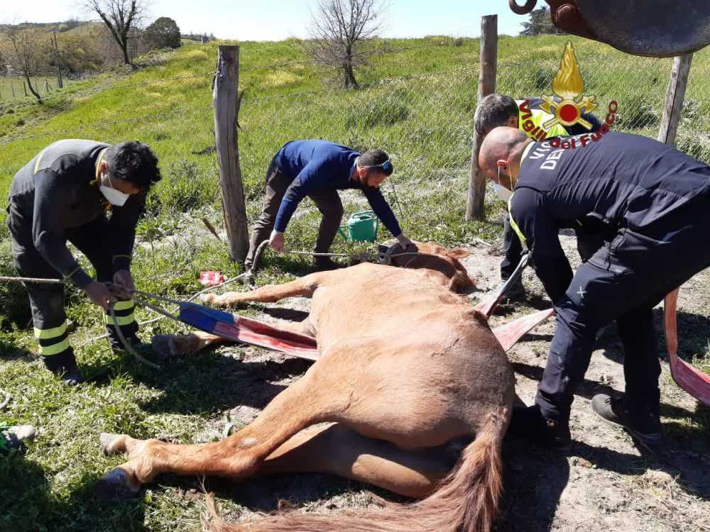 1b3abeeb-20a8-4a95-91ef-cf28ad236fcf