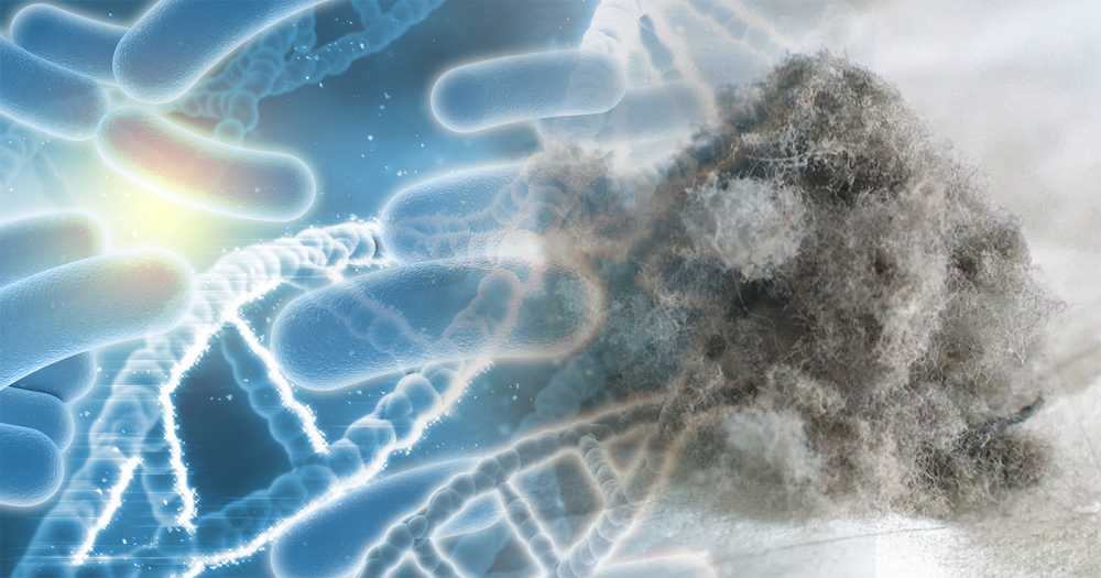BIOS_com_stampa_ionisalus-2