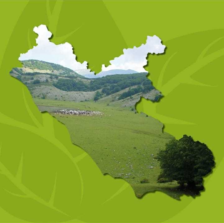 Biodistretto Maremma Etrusca e Monti della Tolfa MET Biodistretto Maremma Etrusca e Monti della Tolfa MET