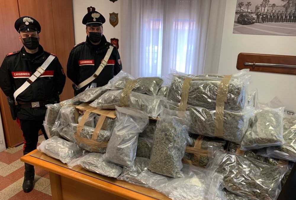 Corriere della droga preso dai Carabinieri sulla A12: 60kg di marijuana in auto