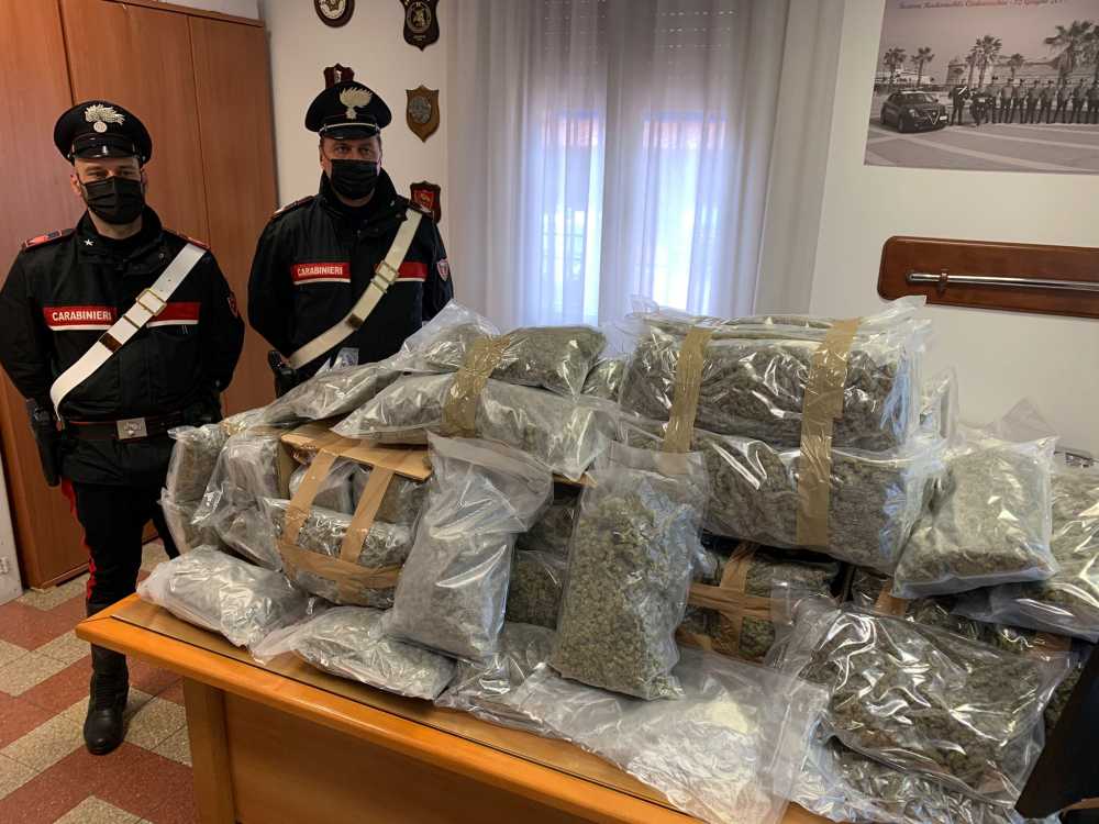 CIVITAVECCHIA – La droga sequestrata dai Carabinieri CIVITAVECCHIA - La droga sequestrata dai Carabinieri
