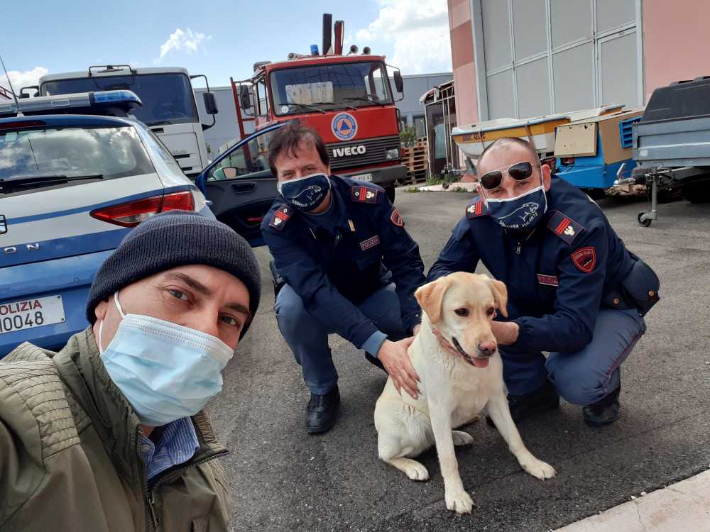 cagnolone cane polizia aeopc tarquinia (1) cagnolone cane polizia aeopc tarquinia (1)