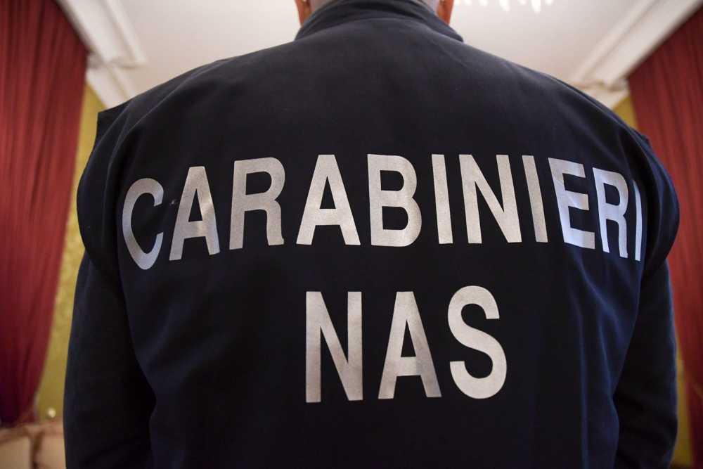 carabinieri nas 1 carabinieri nas
